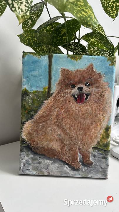 Obrazek olejny na płótnie 18x24 Piesek Świebodzin