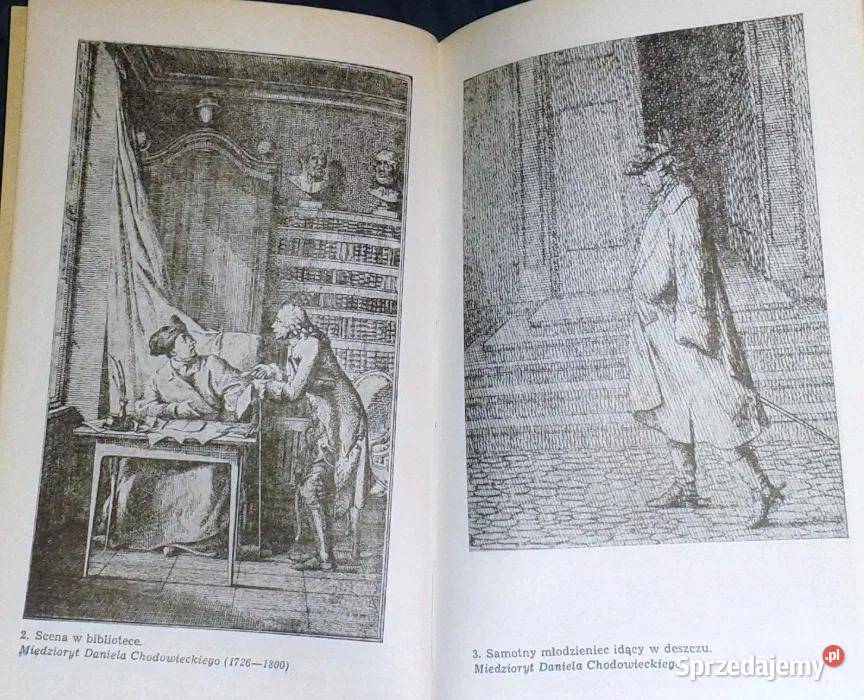 Kawał literata Zadora Józef Ignacy Kraszewski Chełm