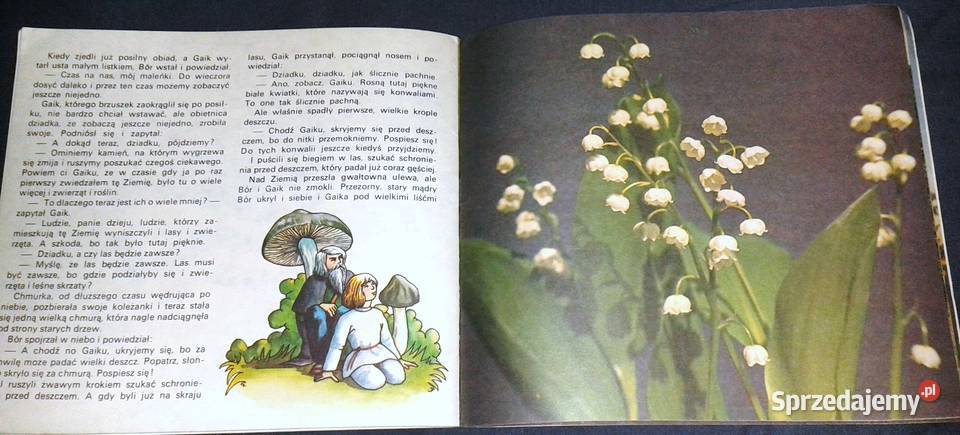 Bór i Gaik w wiosennym lesie Jerzy Michał Chełm sprzedam