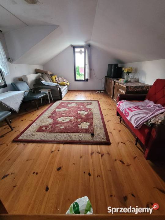 Działka ROD Szczecin Sprzedam rekreacyjna