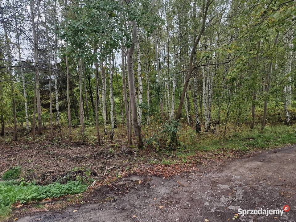Lipowo gm Wiązowna działka 1415 m2 sprzedam