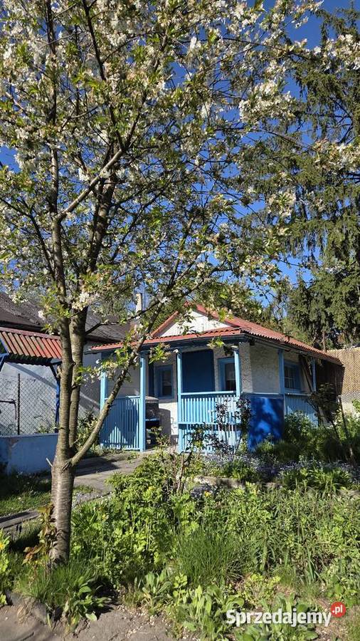 Katowice działka rod rodzinne ogródki działkowe