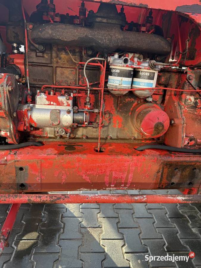 David Brown 990 Sprowadzony Rolnictwo Burzenin