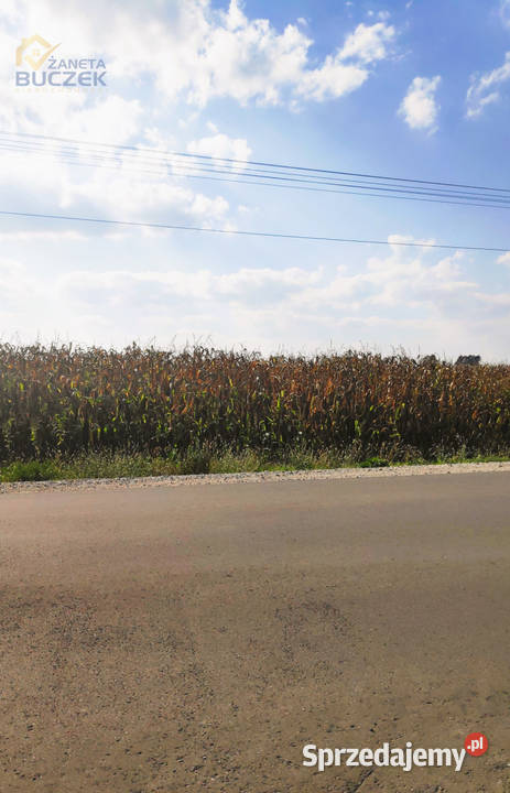 Sprzedam działki rolne z wydanymi WZ w Juliopolu 65zł/m2 Sprzedaż mazowieckie Juliopol