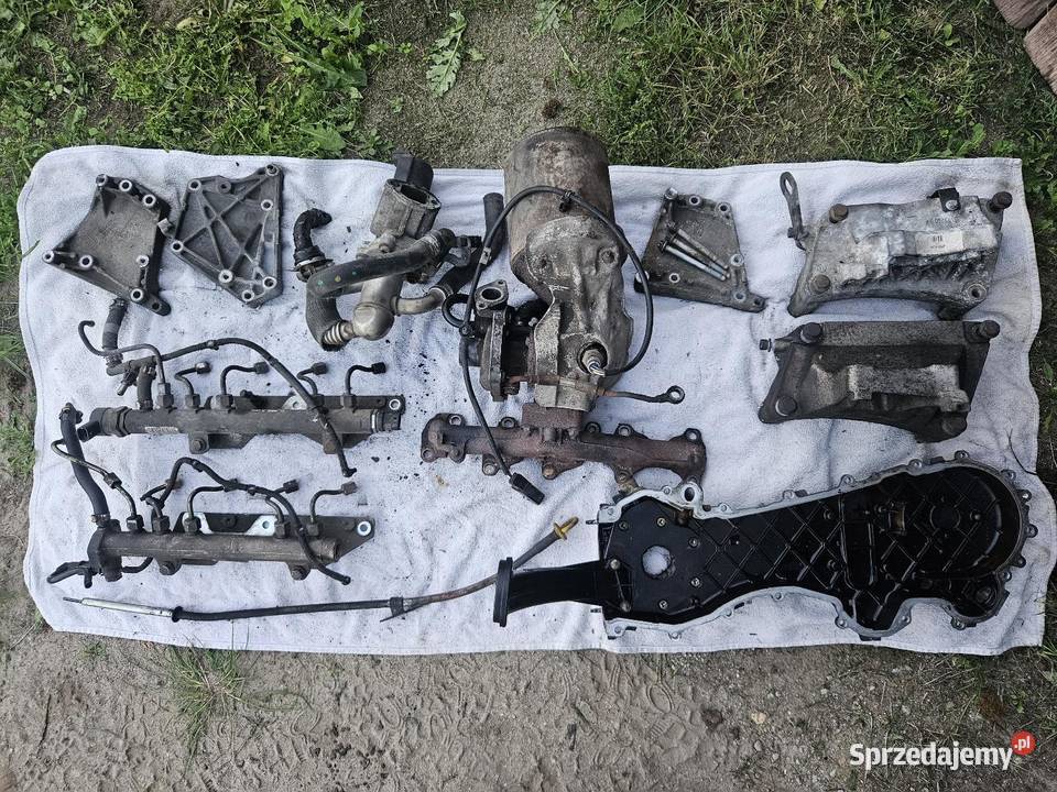 Części do silnika 13 cdti jtd Trzemeszno
