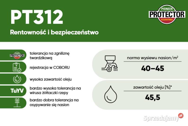Nasiona rzepaku PT312 tolerancja na zgniliznę sprzedam