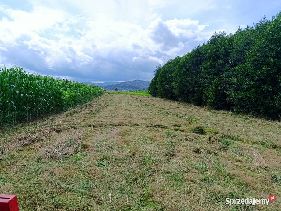Usługa koszenia trawy Lipowa prace ogrodowe