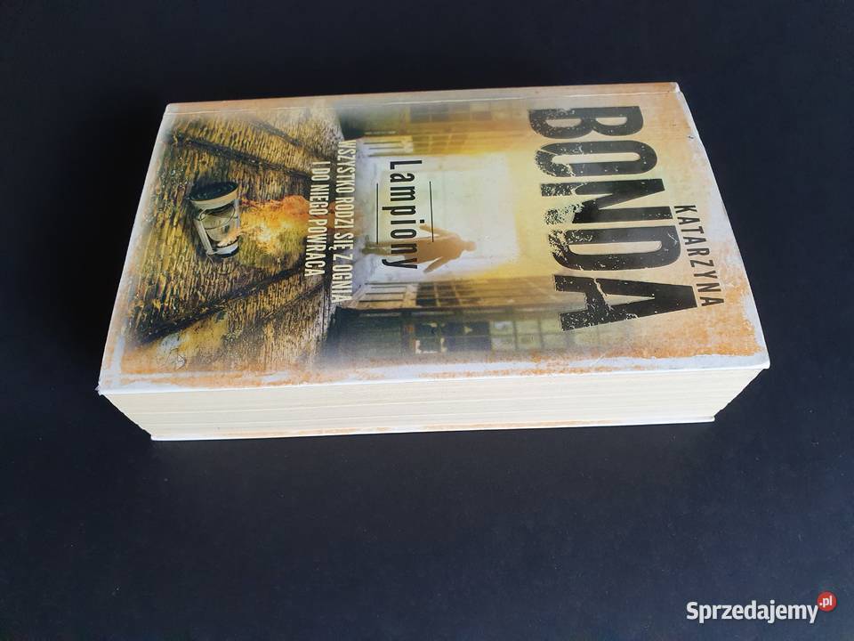 Lampiony Ogień Katarzyna Bonda Żywioły Saszy Tom kryminały Katowice