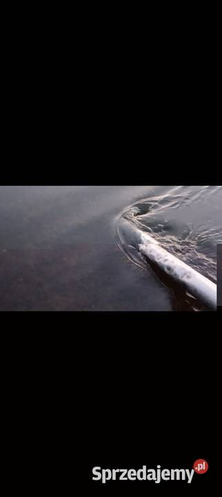 Beczka asenizacyjna 3000l z Niemiec Nowy Korczyn sprzedam