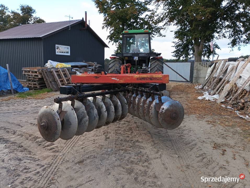 Talerzówka quivogne Starogard Gdański