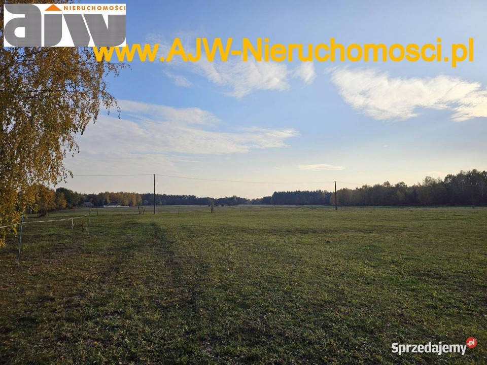 sprzedaży gruntu Szymanówek 12000m2