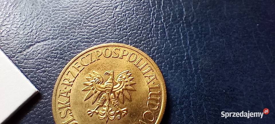 Stare monety 5 złotych 1983 PRL Polska cudo Lesko