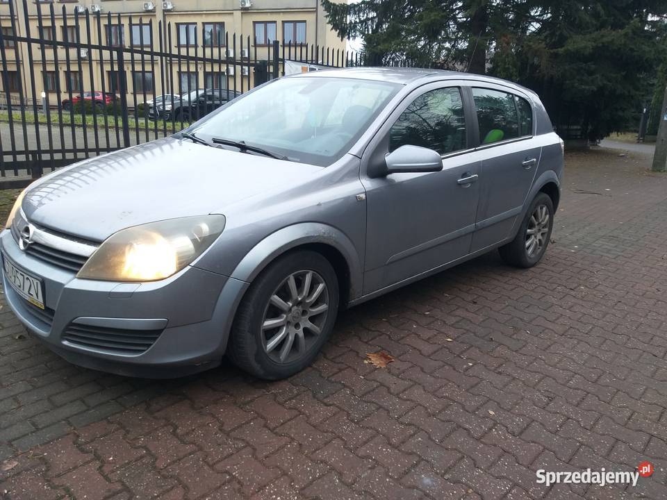 Sprzedam Astre śląskie