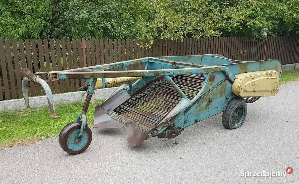 Kopaczka do ziemniaków Elewatorowa 2rzędowa Dąbrowa Tarnowska