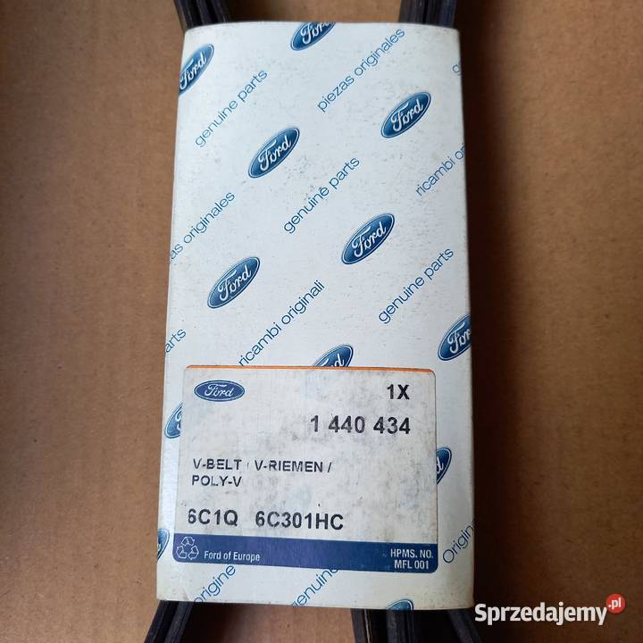 1440434 Pasek wielorowkowy Ford Transit 24 TDCi