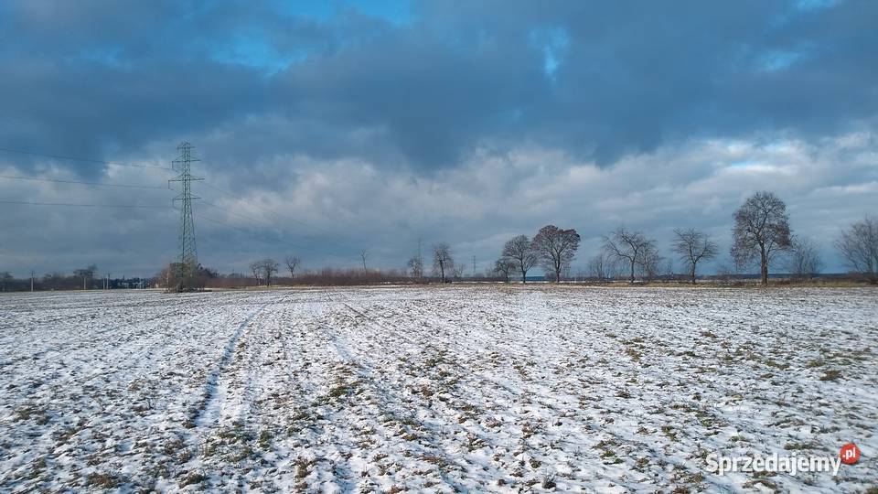 Dzialka rolna 642 ha Tarnowiec w strefie 64200m2