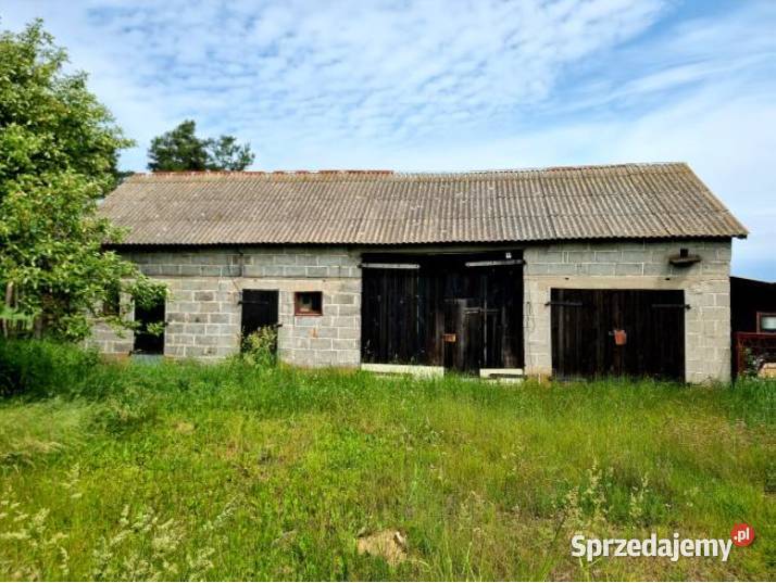 Syndyk sprzeda udział 116 w nieruchomości Wandynów