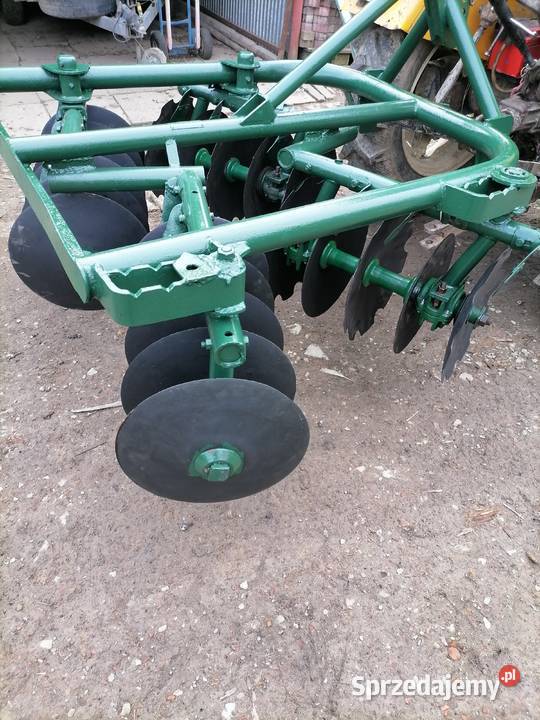 Talerzówka famarolu Słupsk Osobnica