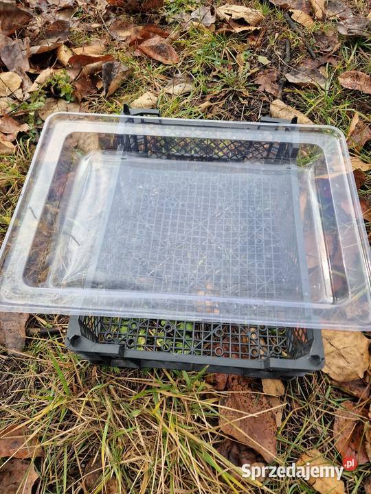 skrzynka skrzynki na owoce pieczarki ślimaki itp Krosno