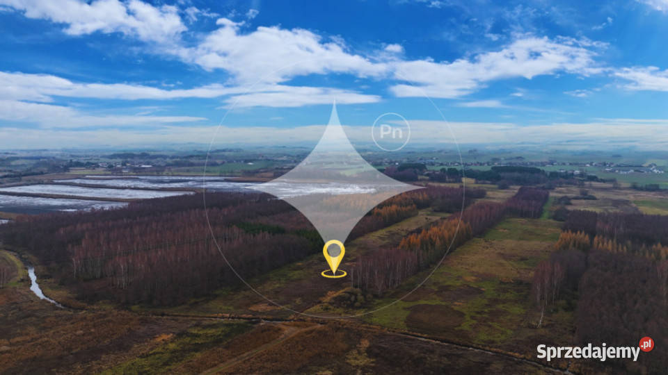 Piękna duża łąka z potencjałem w Pniówku lubelskie Pniówek