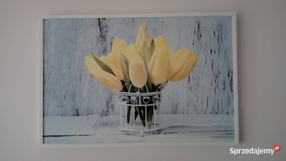 Obraz żółte tulipany Szczecin