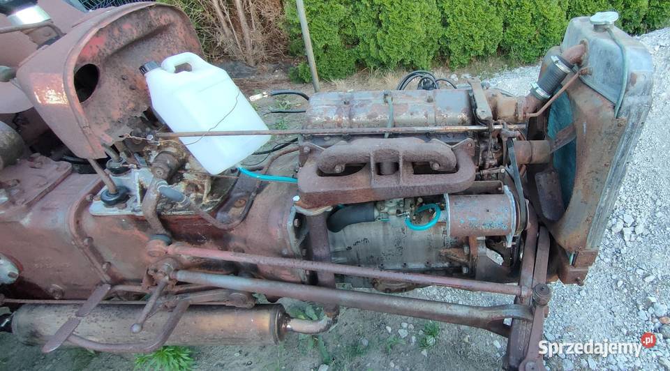 Massey Ferguson MF 35 kujawsko-pomorskie Kornatowo