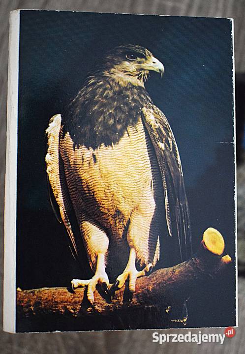 Ogród zoologiczny wybrzeża małe pocztówki w Chełmno