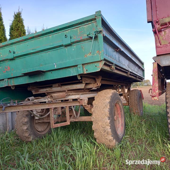 Przyczepa hl 6011 thk 5 zarejestrowane Gołańcz