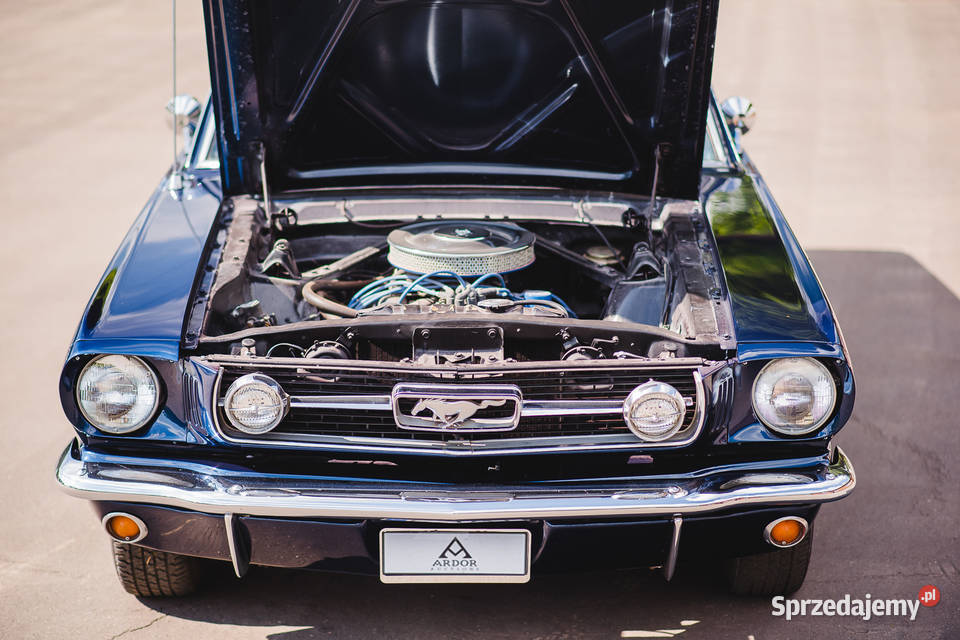 Ford Mustang Ford MUSTANG GT 1966 V8