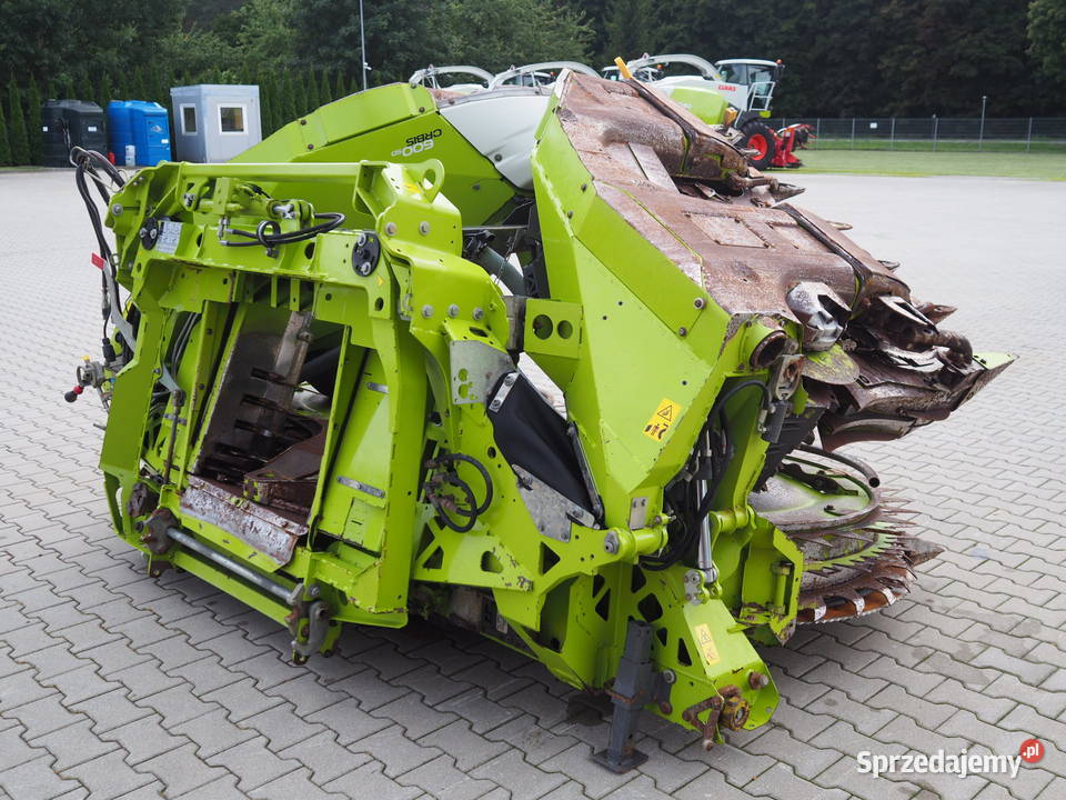Claas Orbis 600 SD Przystawka do kukurydzy heder Claas Rolnictwo Stęszew