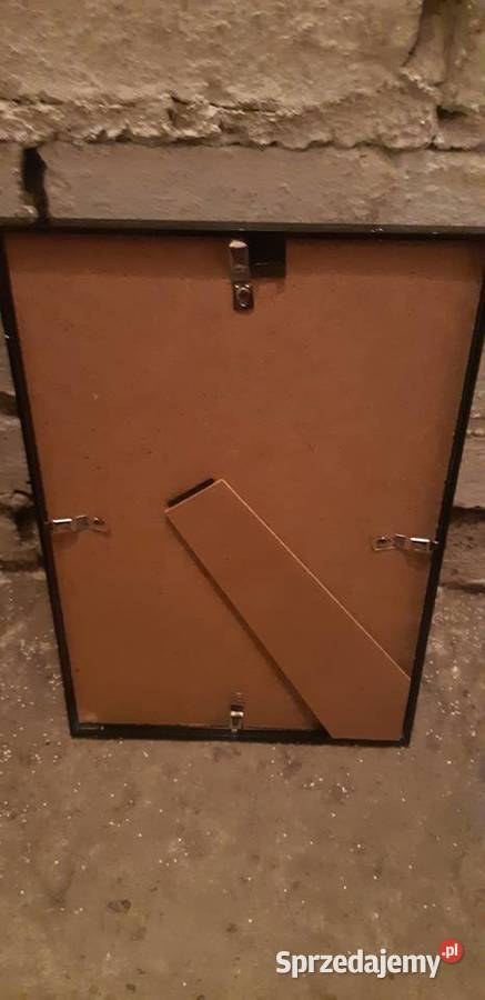 Obrazek kaktusy 20x30 dekoracja nie malowany Koronowo