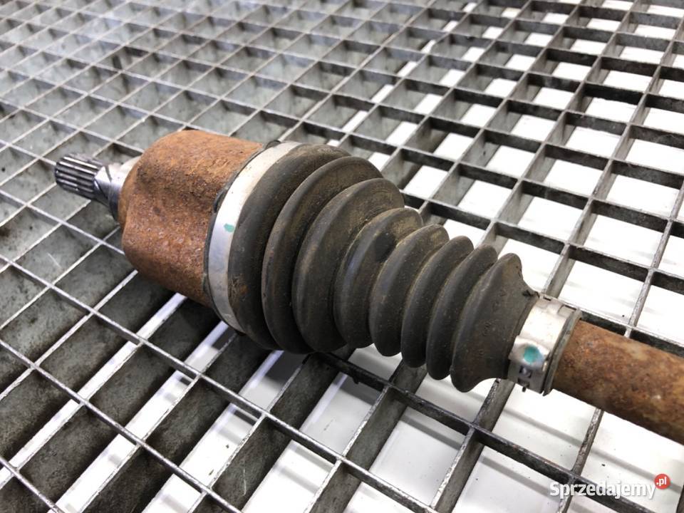 PÓŁOŚ LEWY TYŁ DACIA DUSTER 15 116 Hatchback osobowe