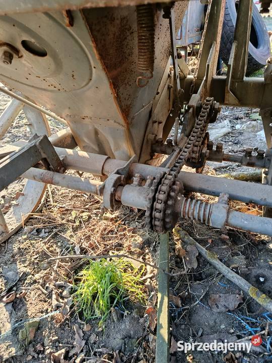 Sadzarka s211 do ziemniaków i radła