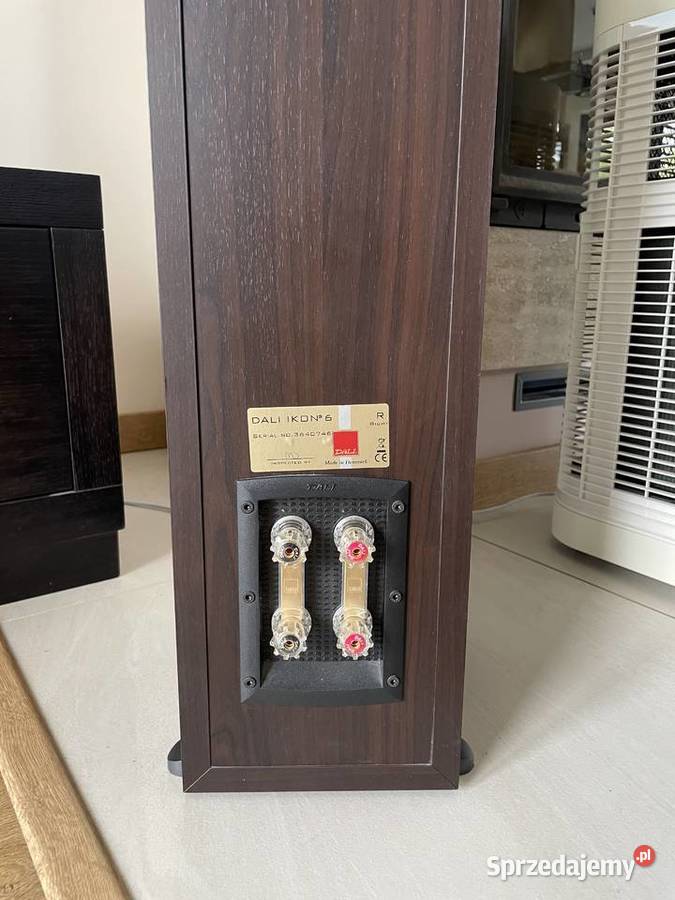 Kolumny stereo podłogowe Dali Ikon 6 Radom