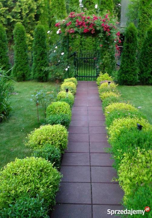 sprzedam działkę ROD Wolica Grunty i działki mazowieckie