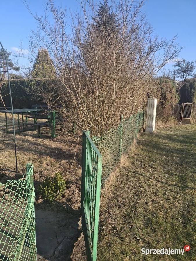 Działka ROD Wrzosowa rekreacyjna Kielce sprzedam