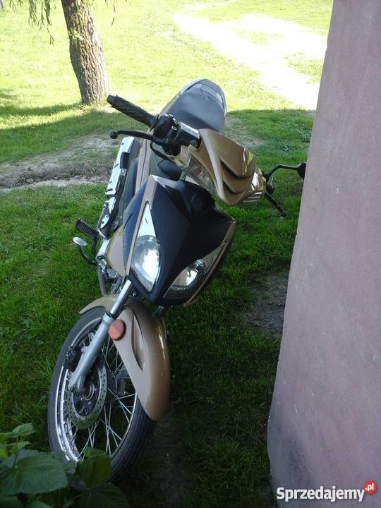 Zumico Ronin 2 Gąsiory