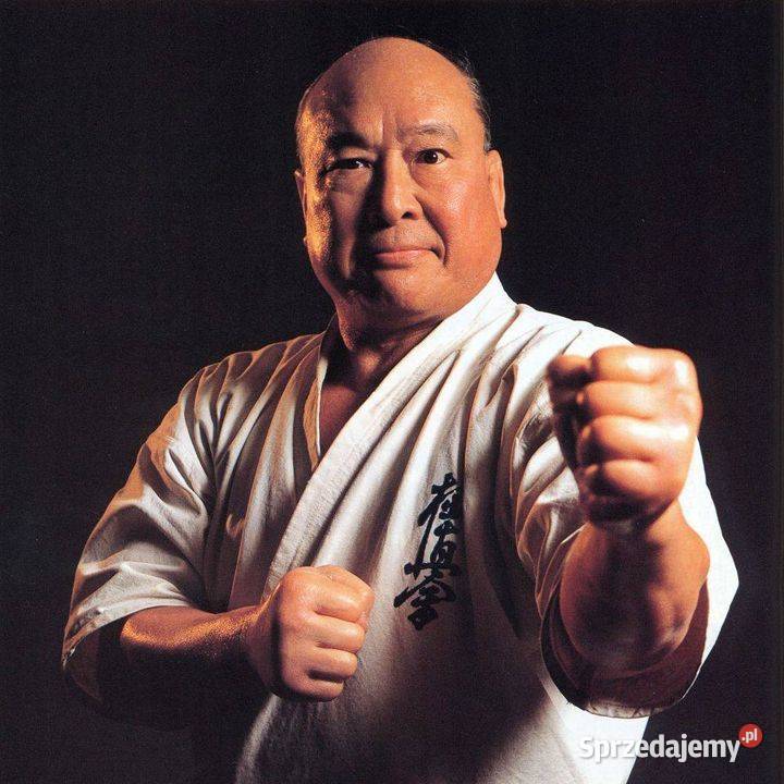 Bruin Kyokushin Karate 104 DanKata 2 ks Radom