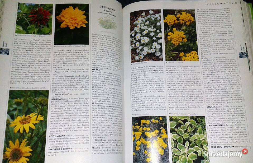Wielka ilustrowana encyklopedia roślin Chełm