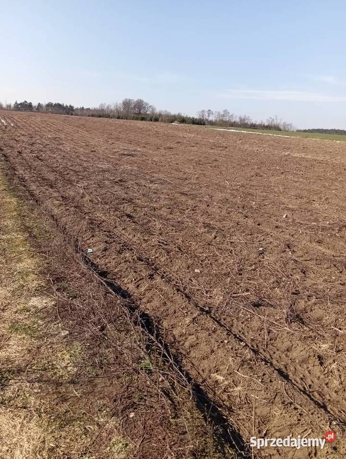 Sprzedam działkę rolną Nowa Wrona