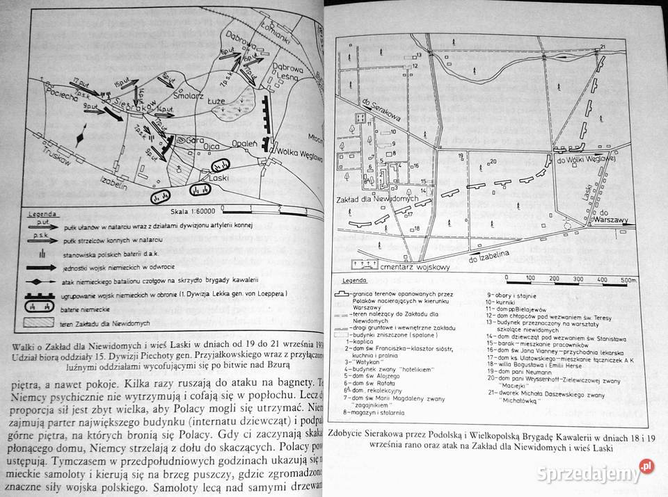 Laski w czasie okupacji 19391945 Alicja Chełm sprzedam