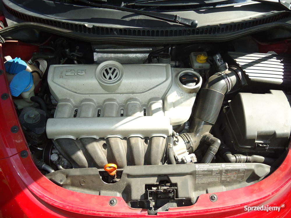 Volkswagen Beetle Gliwice