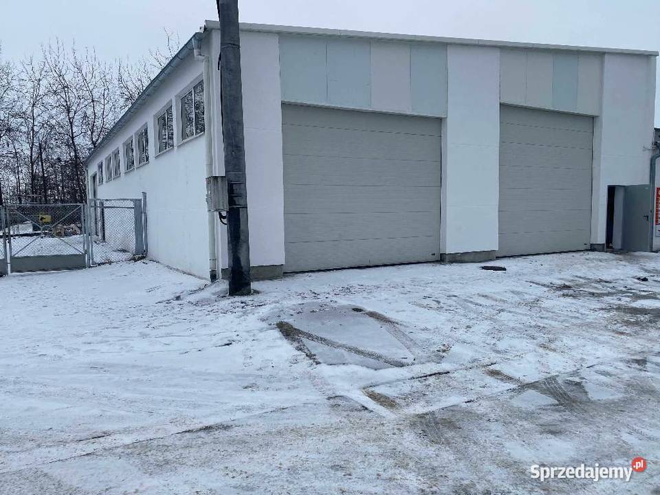 Wynajmę haleobiekt handlowousługowy 400m2 w warmińsko-mazurskie Elbląg
