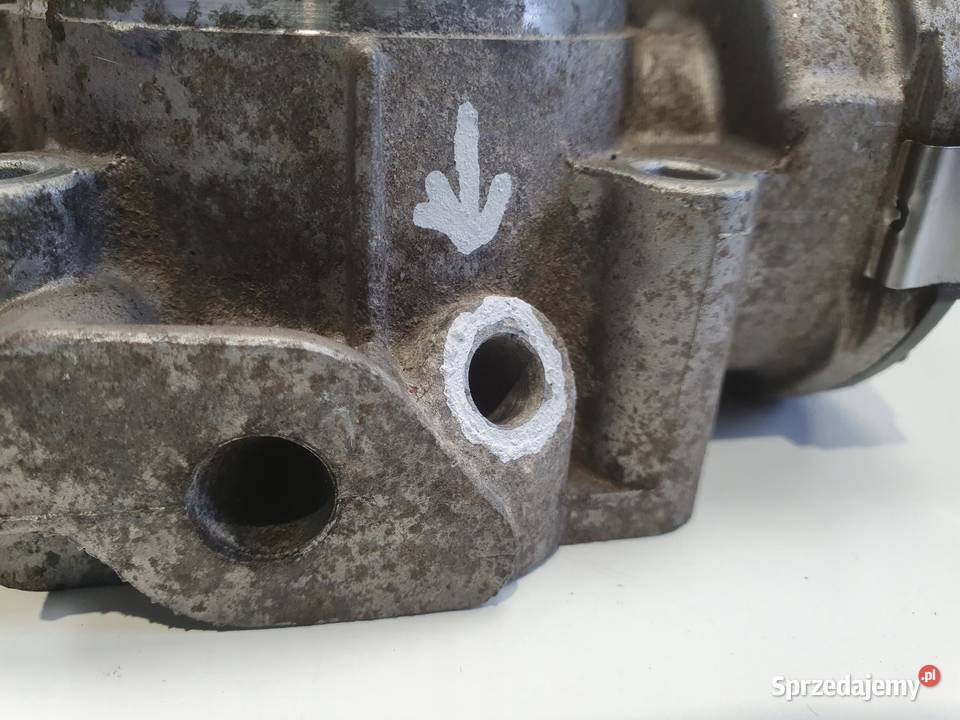 PRZEPUSTNICA VW Beetle 20 8V 06A133062Q lubelskie sprzedam