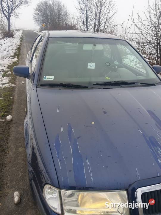 Sprzedam centralny zamek Zduńska Wola sprzedam