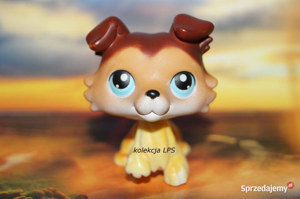 LPS Littlest Pet Shop collie 58 Sage oryginalny Hasbro Rybnik