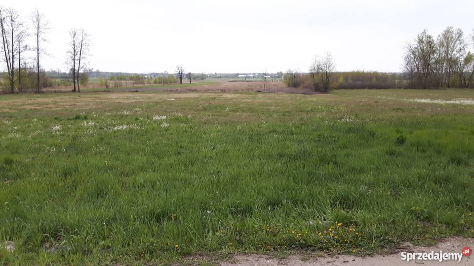 Działka rolna 234 ha Wierzchowiny pow Radomski rolna Grunty i działki Wierzchowiny