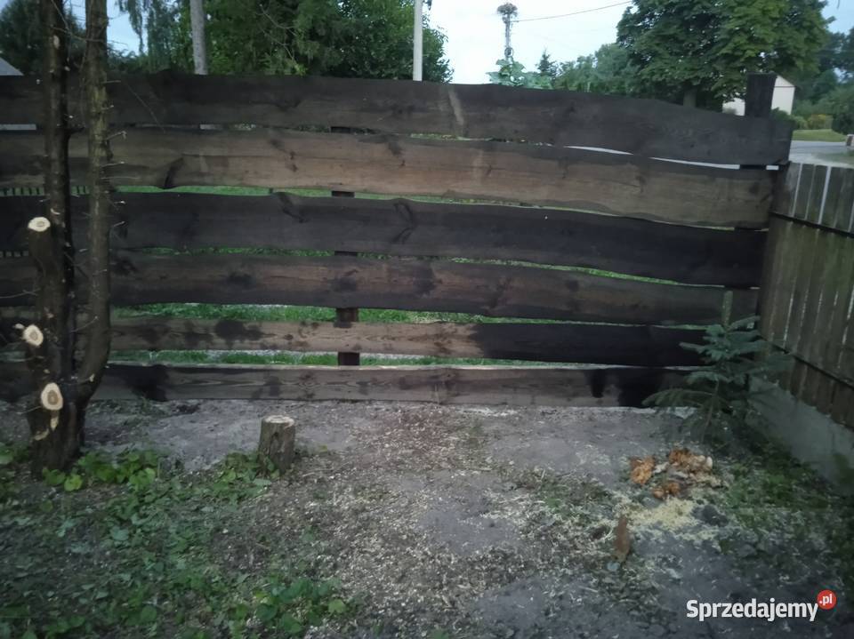 Deski Nietypowe Sosna lubelskie Chełm