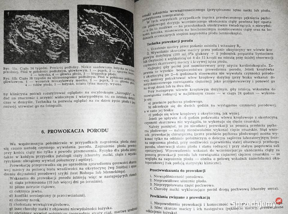 Położnictwo ćwiczenia Michał Troszyński Pozostałe lubelskie Chełm