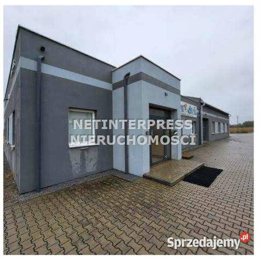 Lokal 43737m2 Strzelin